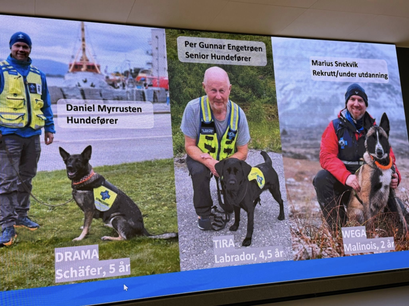 Besøk frå Norske redningshundar i Møre og Romsdal